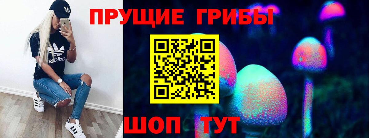 Туймазы  наркотики  Вход с VPN  Галлюциногенные грибы Cubensis 